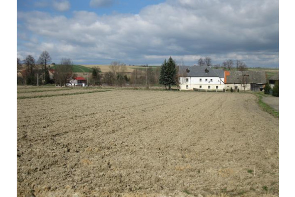 dolnośląskie, kłodzki, Kłodzko, Działka na sprzedaż